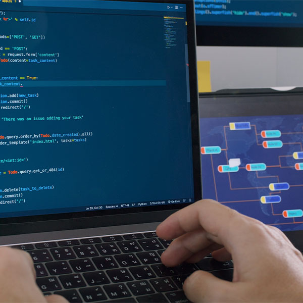 Analytical and Auditing Skills