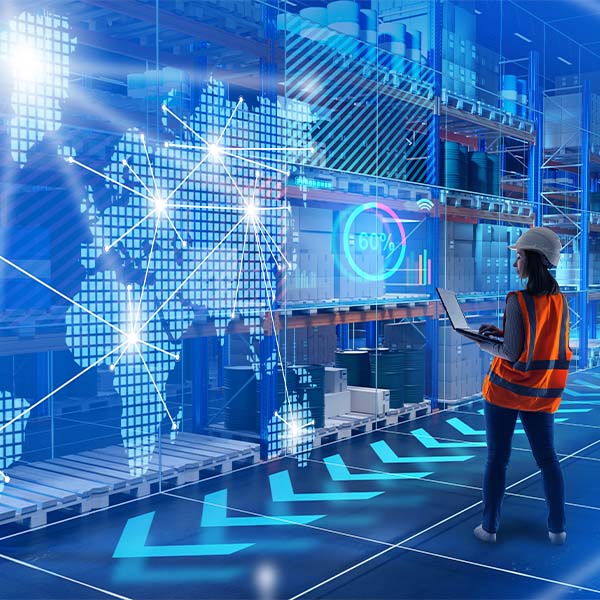 Big Data Analytics for Supply Chain Optimization