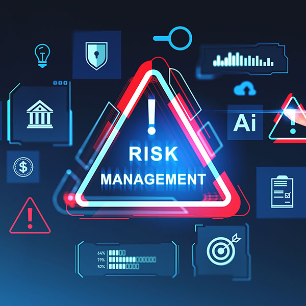 Artificial Intelligence (AI) Standards and Risk Management Frameworks (RMF)